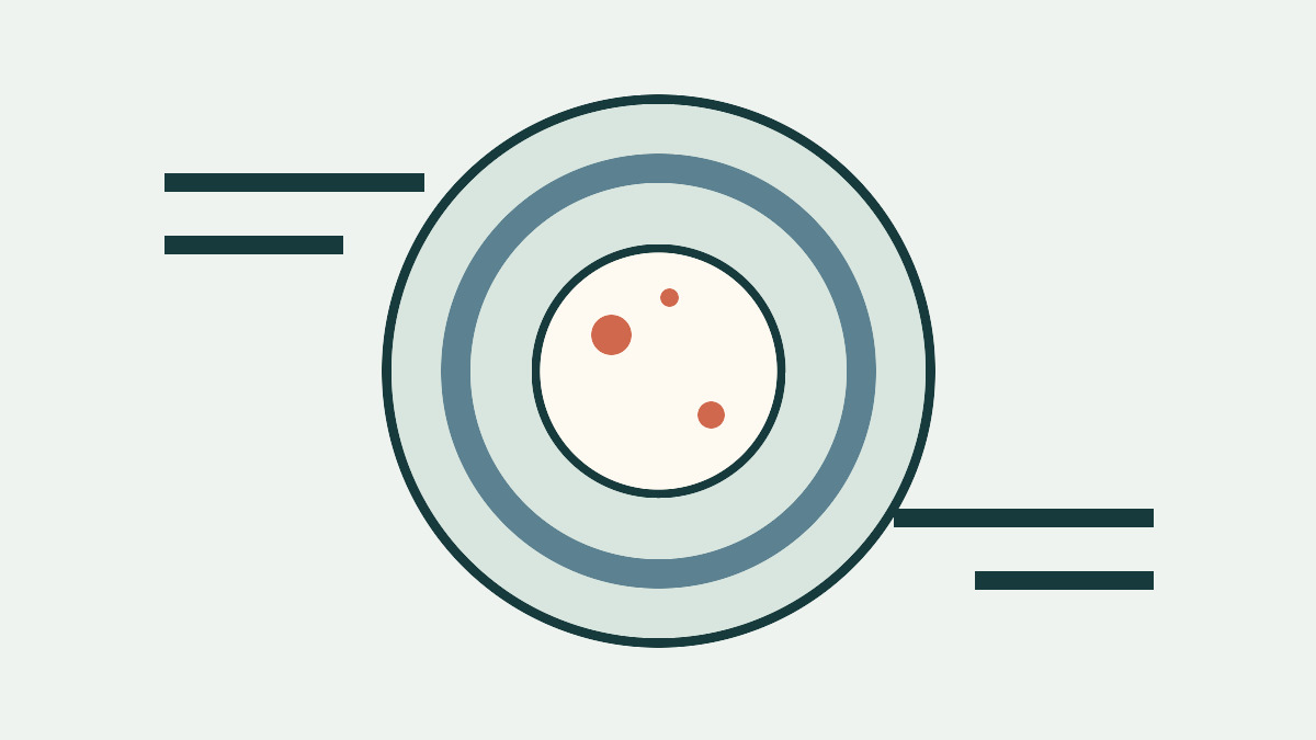 Abstract editorial graphic showing concentric scan rings with a small set of highlighted findings.
