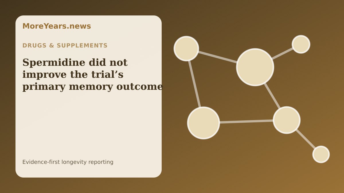 Abstract MoreYears.news editorial illustration for “Spermidine did not improve the trial’s primary memory outcome”.